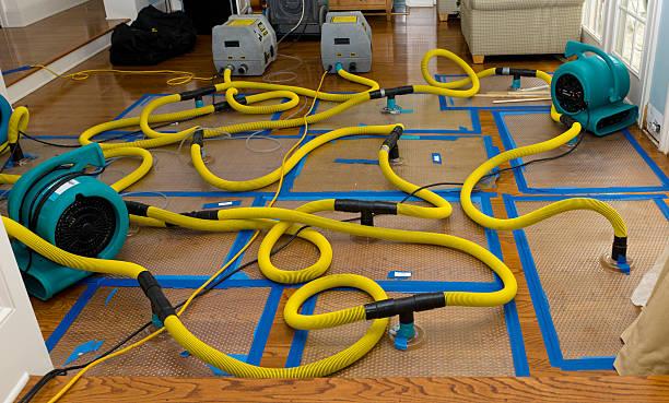 Professional Flood Damage Restoration technician working in Humboldt, IA